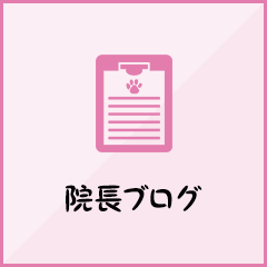 院長ブログ